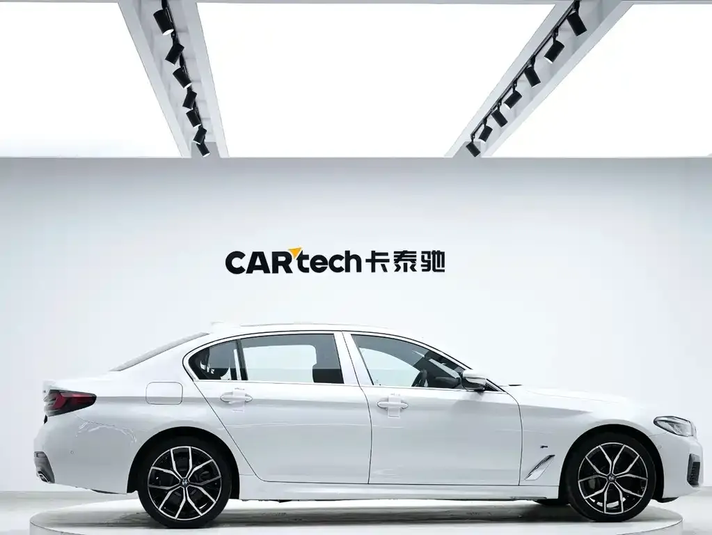 BMW 5 Series 2021 из CN, фото 3