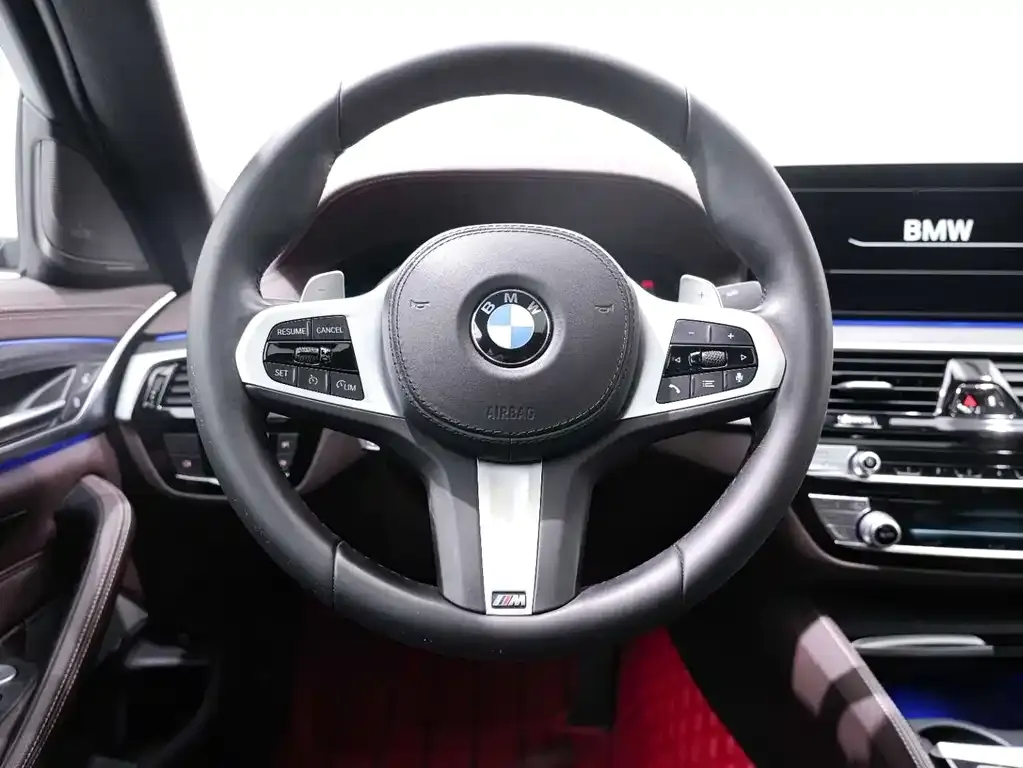 BMW 5 Series 2021 из CN, фото 9