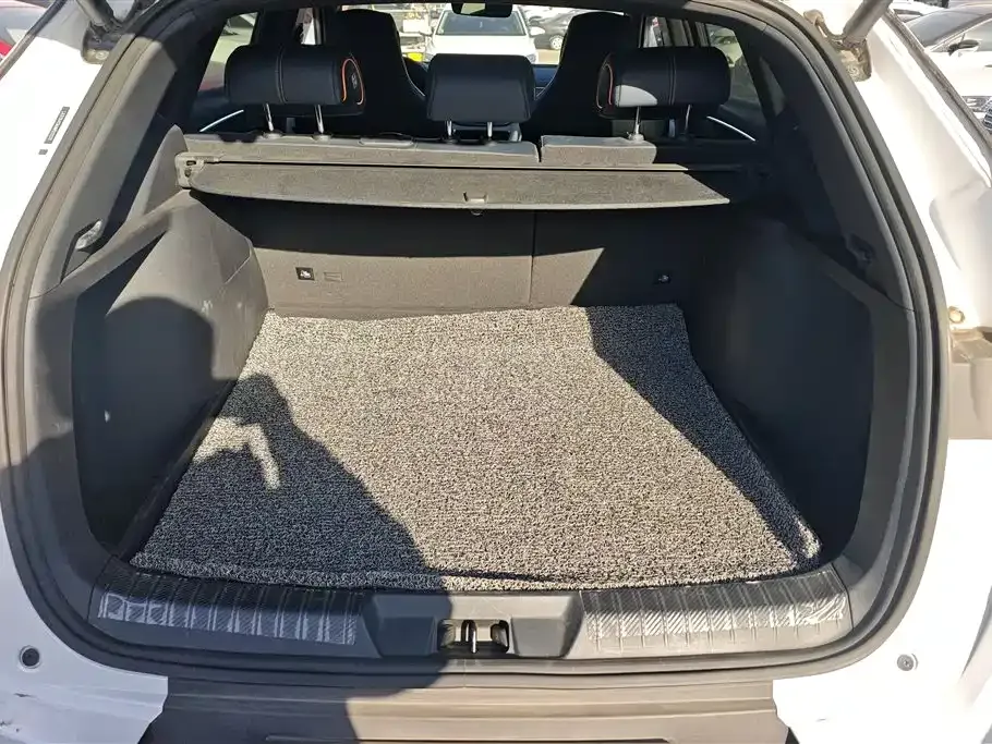 BYD PLUS New Energy — фото 4