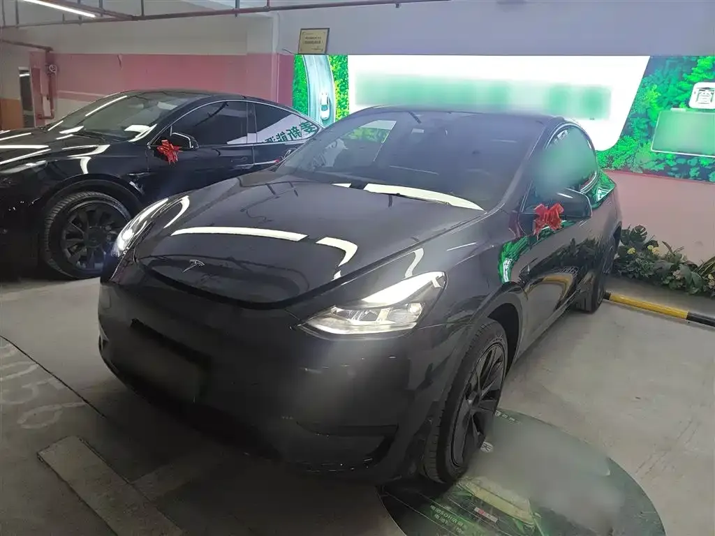 Tesla Model Y — фото 2