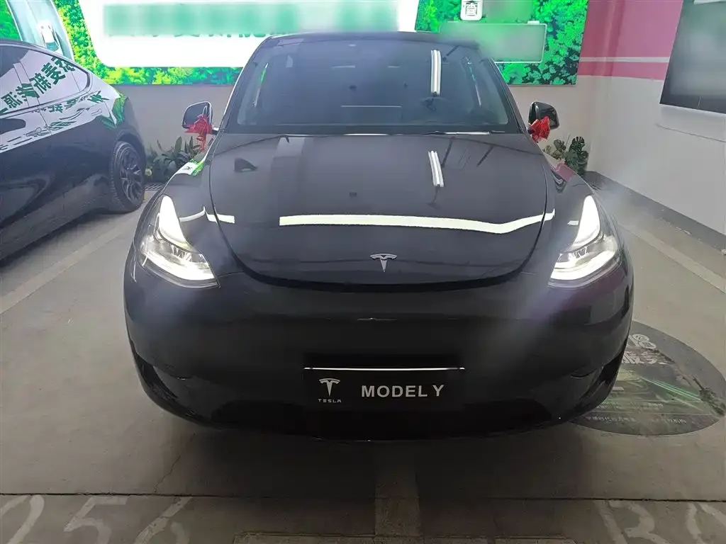 Tesla Model Y — фото 3