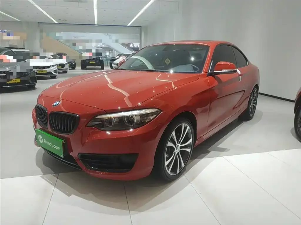 BMW 2 Series (Import) 2021 из CN, фото 1