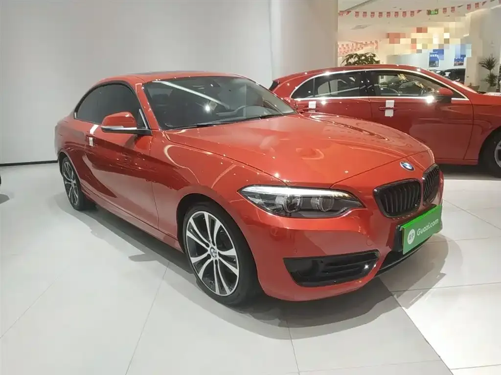 BMW 2 Series (Import) 2021 из CN, фото 4