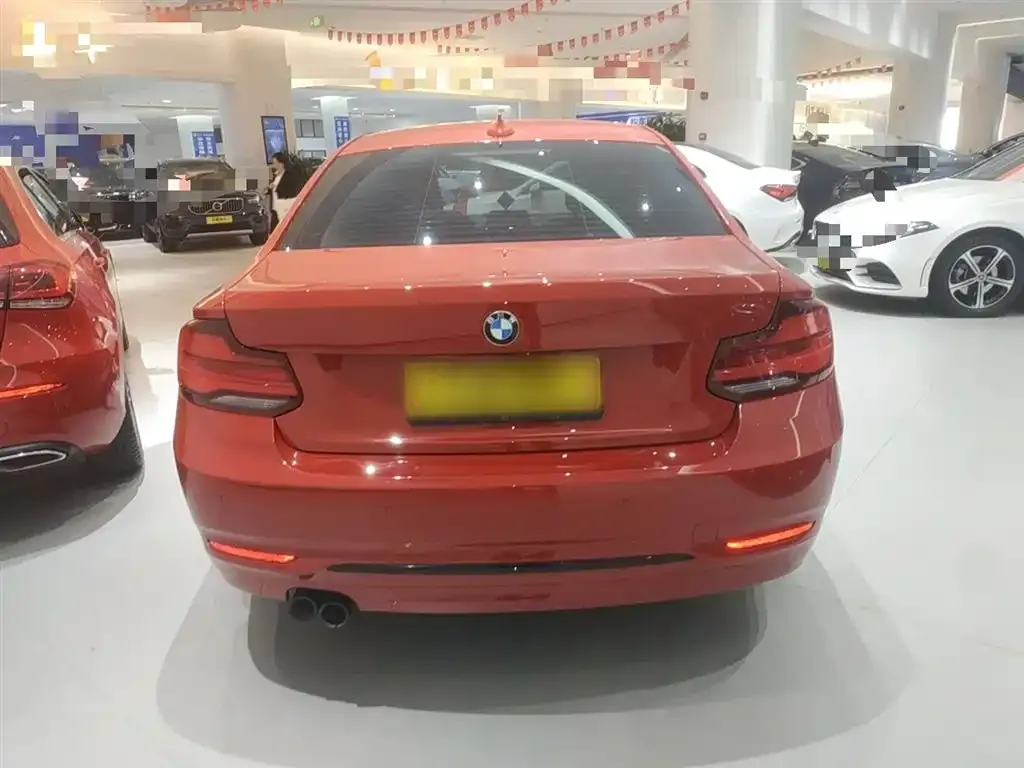 BMW 2 Series (Import) 2021 из CN, фото 6