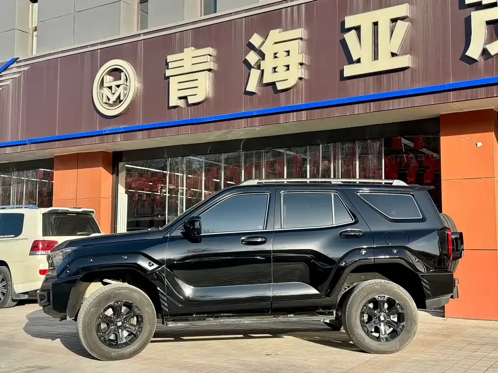 Tank 400 New Energy 2024 из CN, фото 4