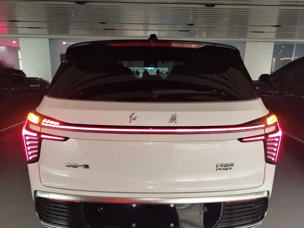 Hongqi HS3 PHEV 2024 из CN, фото 6