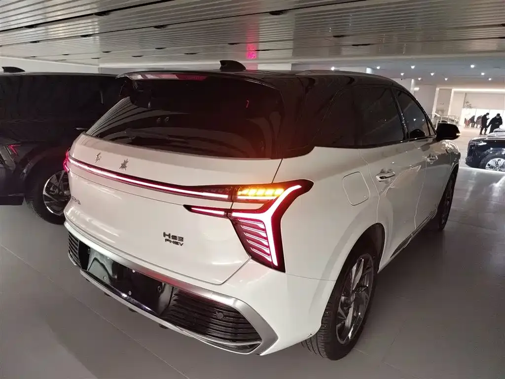 Hongqi HS3 PHEV 2024 из CN, фото 7