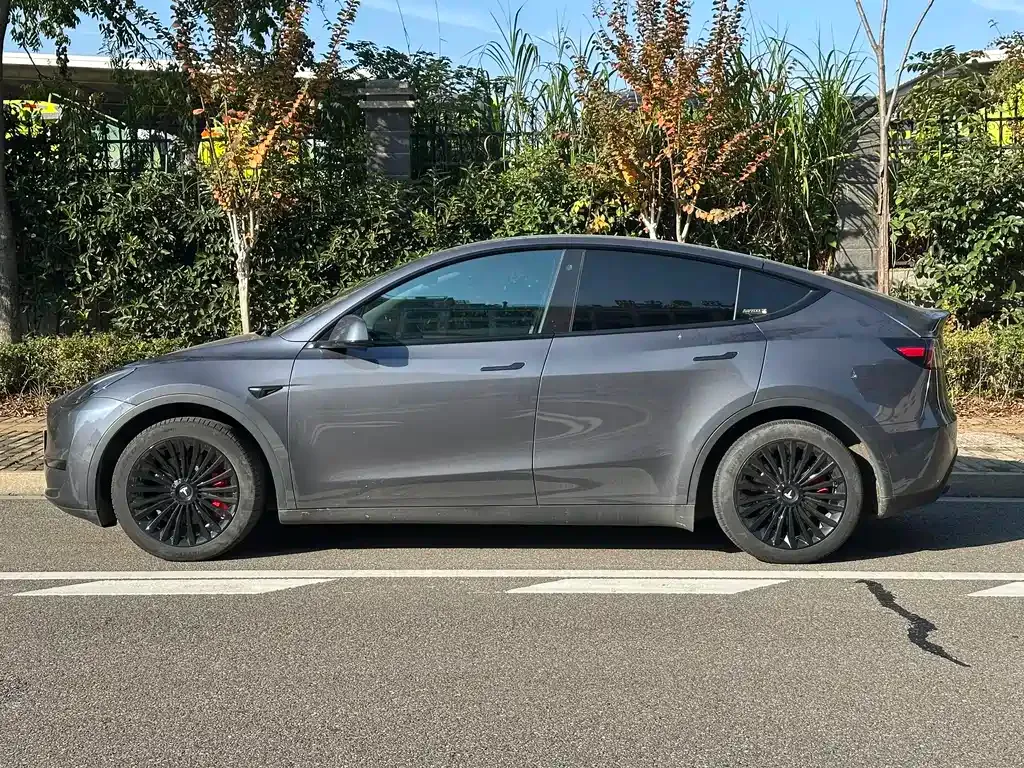Tesla Model Y — фото 3