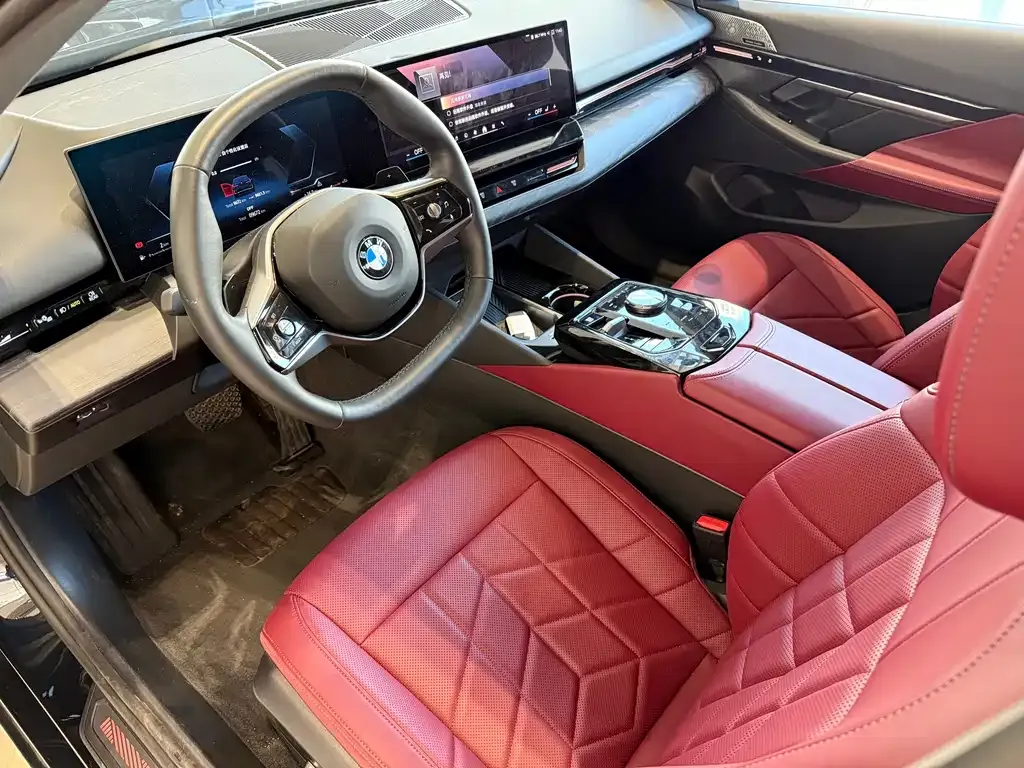 BMW 5 Series 2024 из CN, фото 9