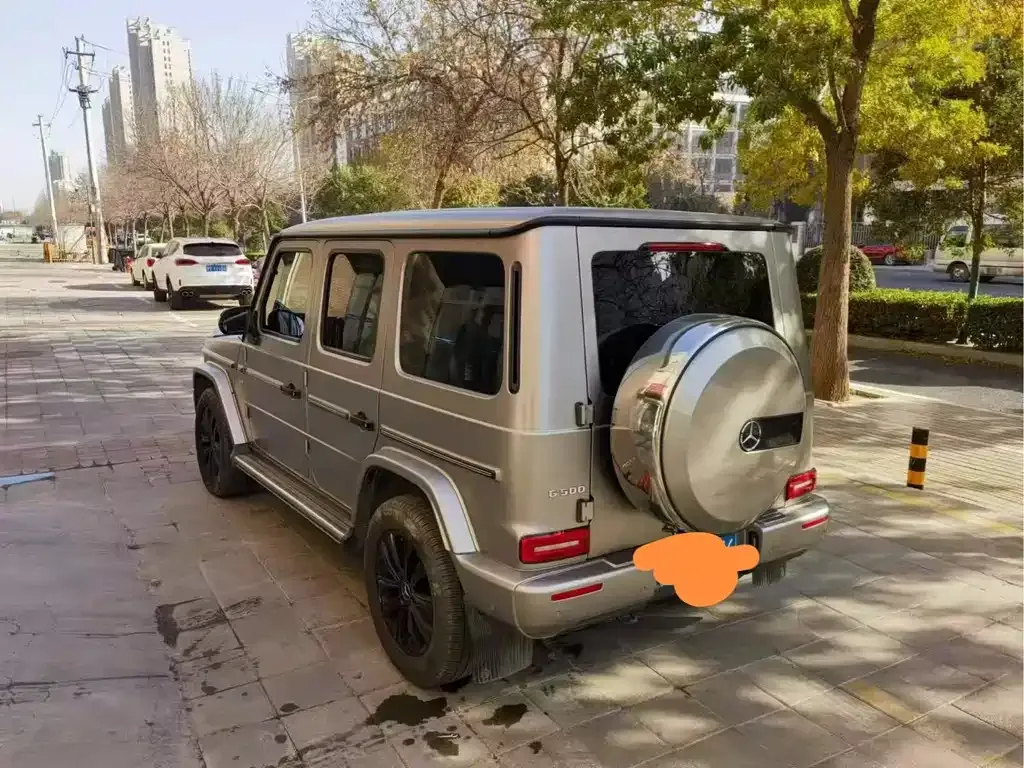 Mercedes-Benz G-Class 2021 из CN, фото 2