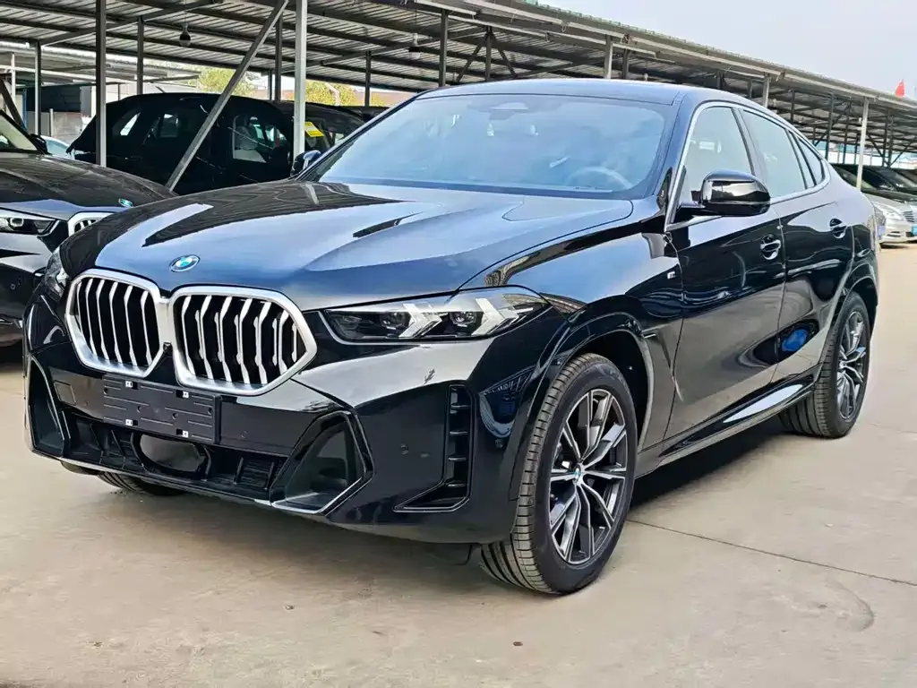 BMW X6 2025 из CN, фото 1