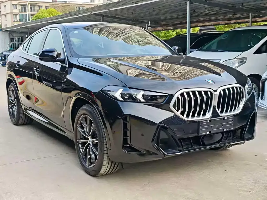 BMW X6 2025 из CN, фото 3