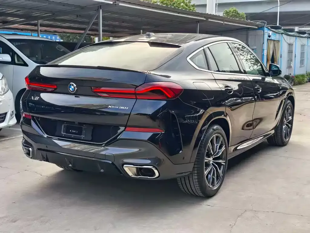 BMW X6 2025 из CN, фото 9