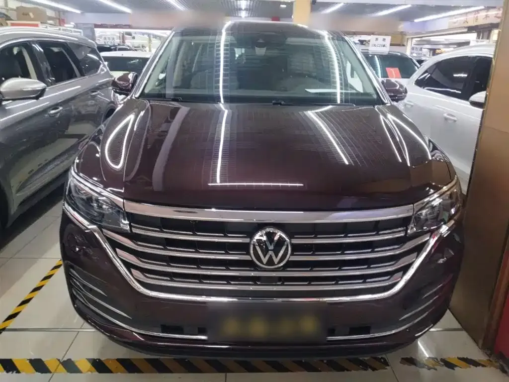 Volkswagen Viloran 2023 из CN, фото 3