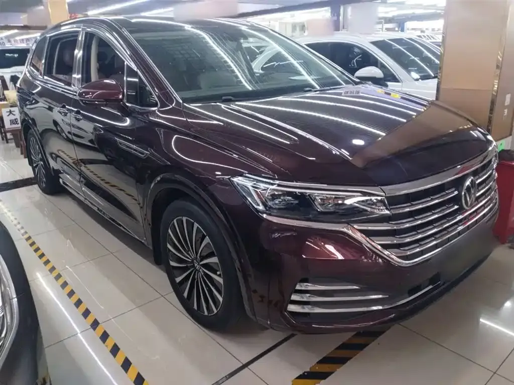Volkswagen Viloran 2023 из CN, фото 4