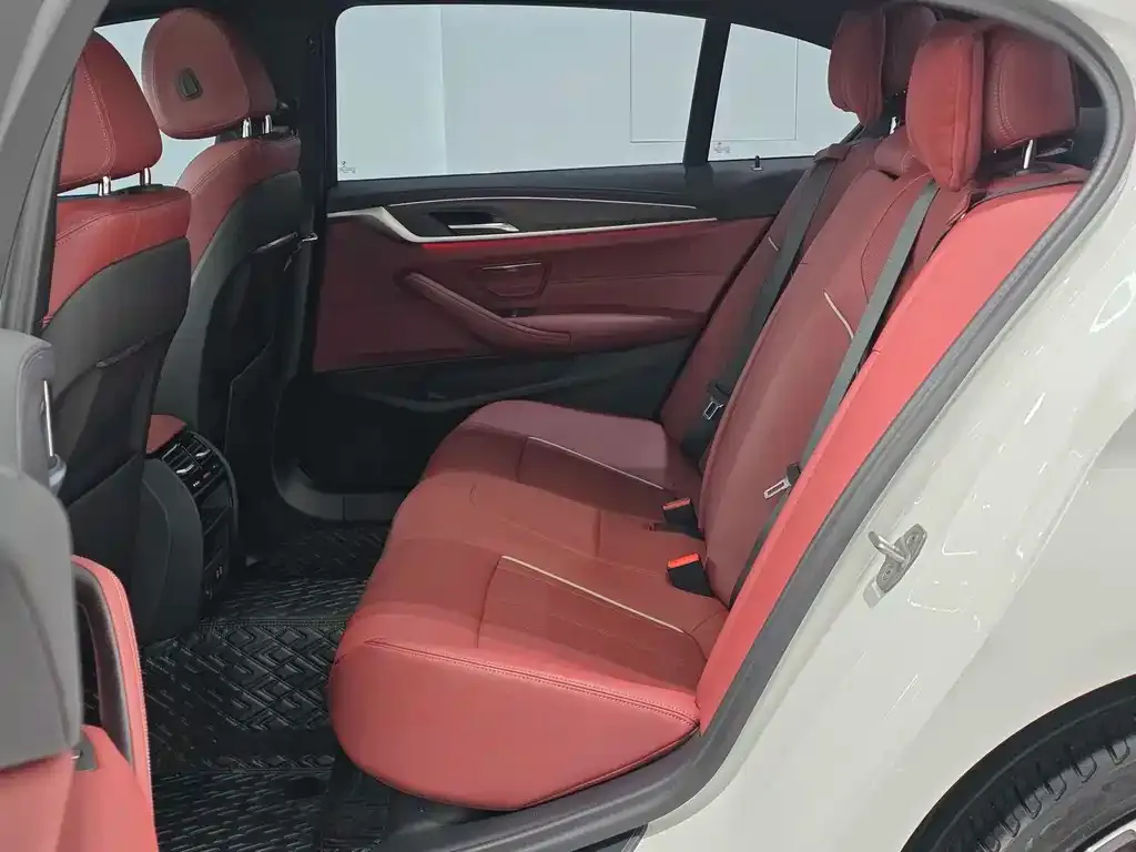 BMW 5 Series 2023 из CN, фото 10
