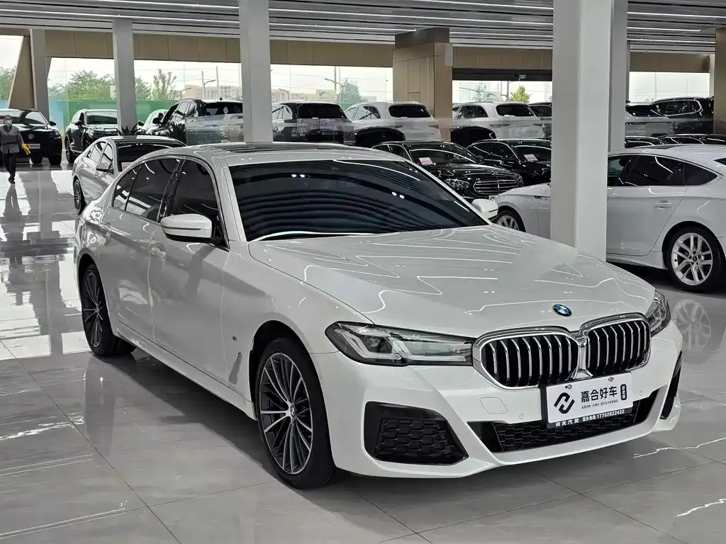 BMW 5 Series 2023 из CN, фото 3