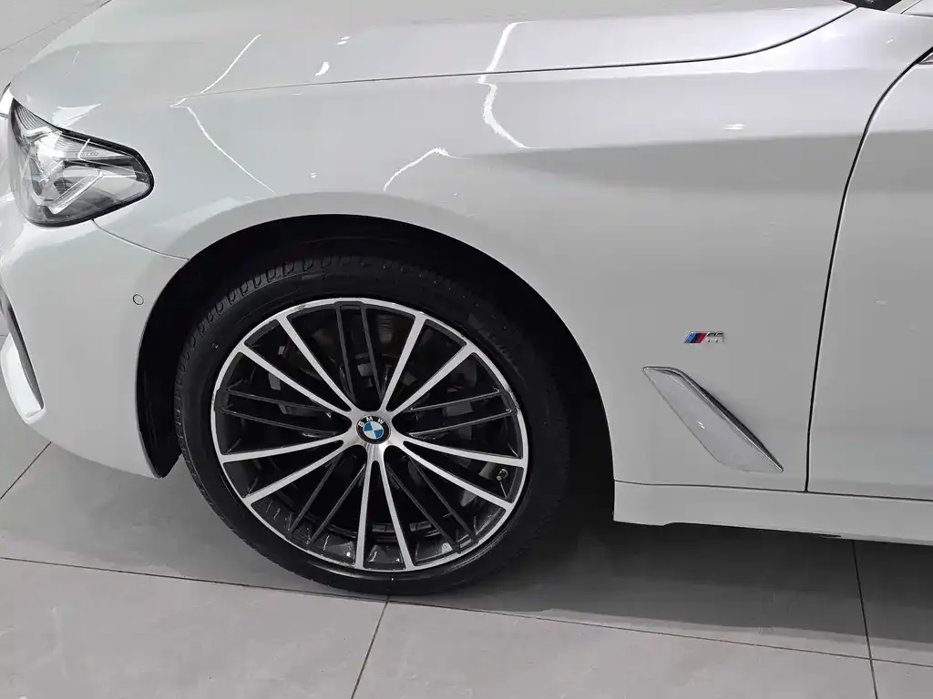 BMW 5 Series 2023 из CN, фото 4