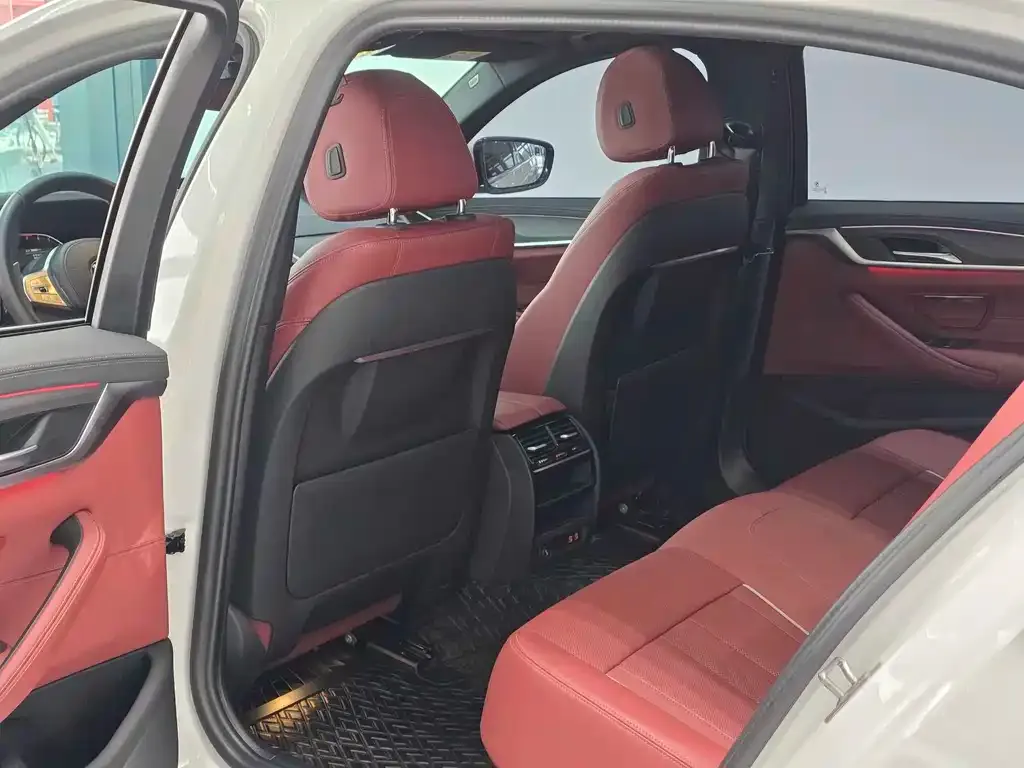 BMW 5 Series 2023 из CN, фото 9