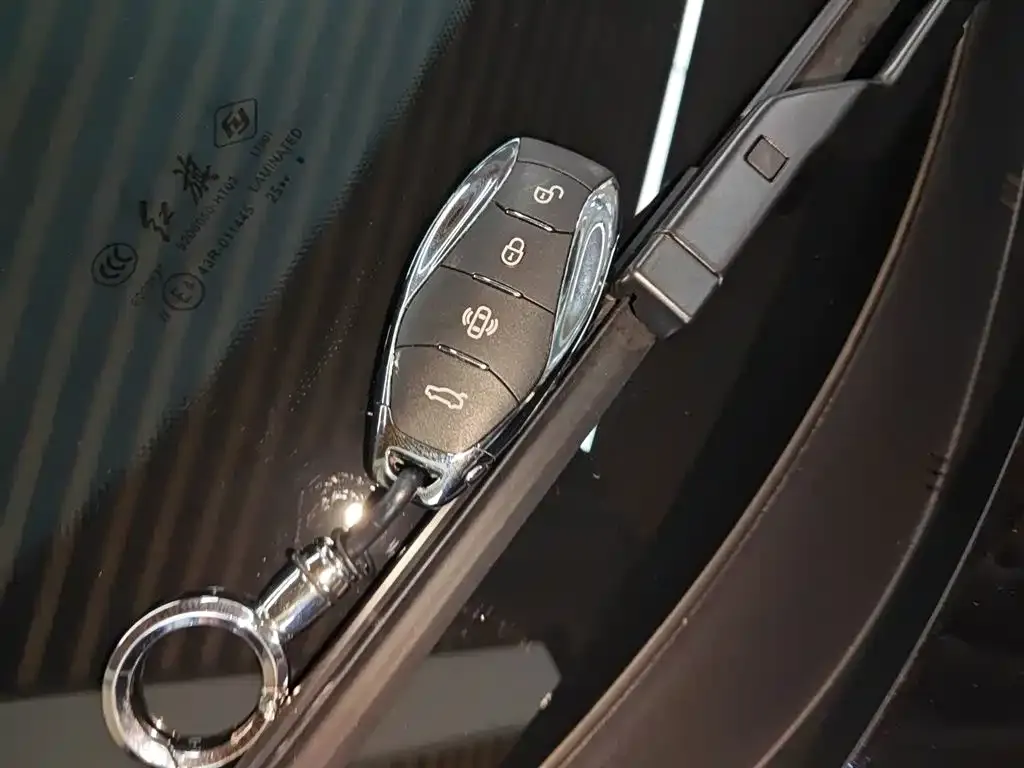 Hongqi HS3 2025 из CN, фото 9
