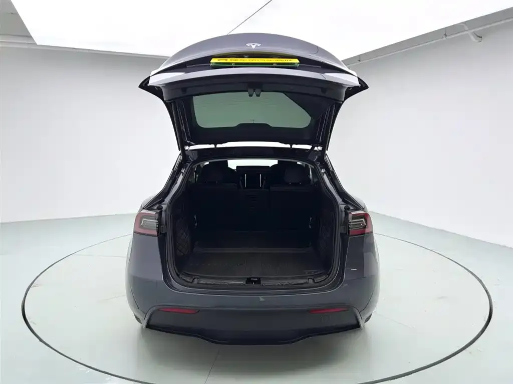 Tesla Model Y — фото 8
