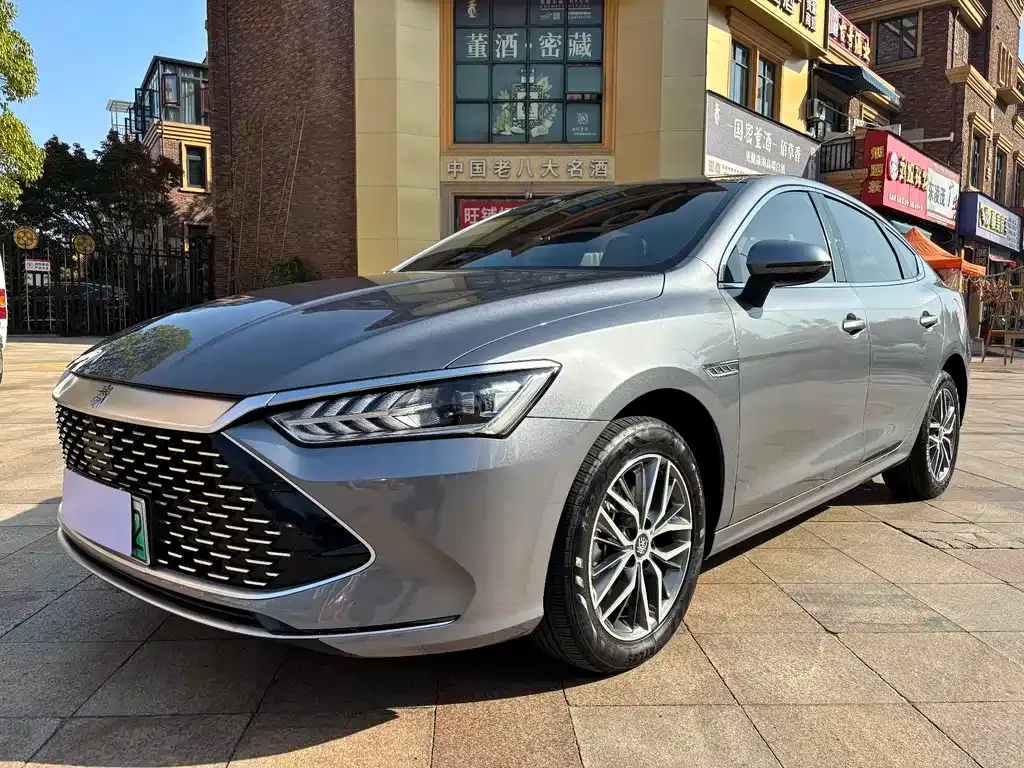 BYD Qin PLUS 2024 из CN, фото 1