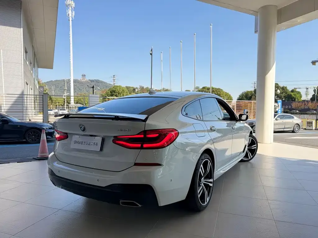 BMW 6 Series GT 2024 из CN, фото 4