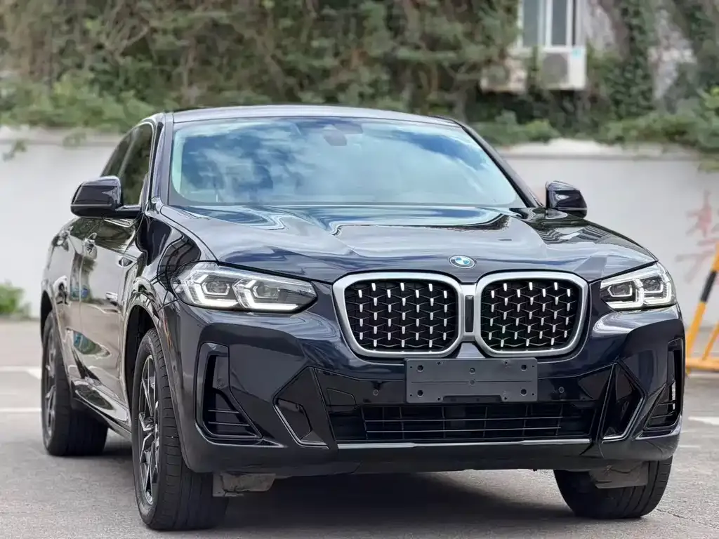 BMW X4 2023 из CN, фото 2