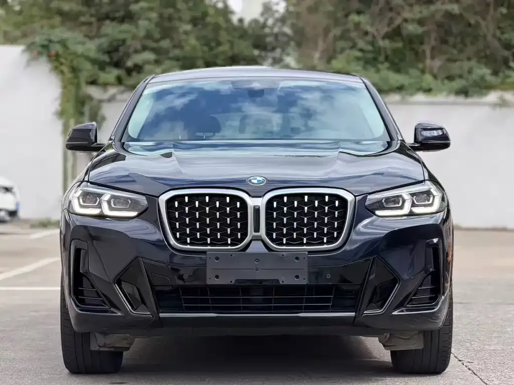 BMW X4 2023 из CN, фото 3