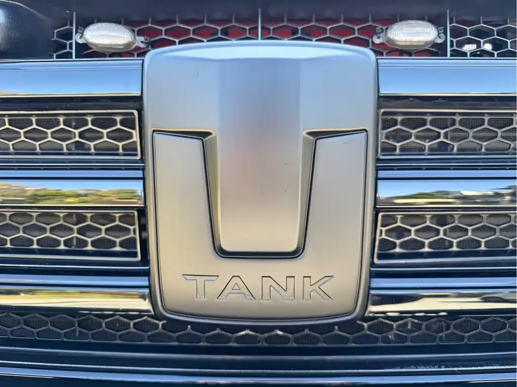 Tank 300 2022 из CN, фото 6
