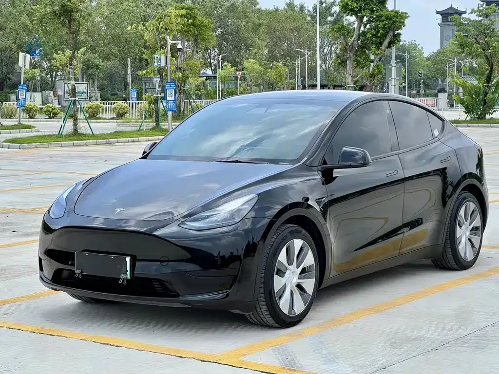Tesla Model Y — фото 1