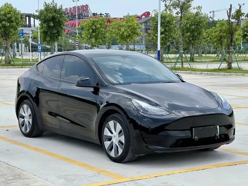 Tesla Model Y — фото 2