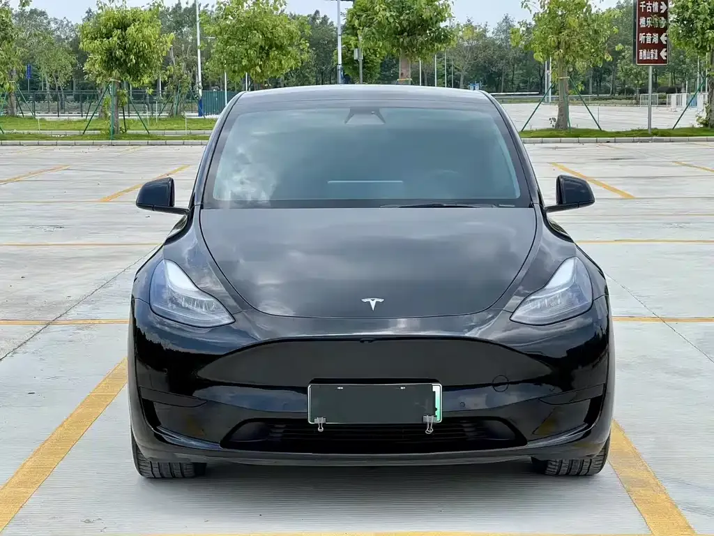 Tesla Model Y — фото 3
