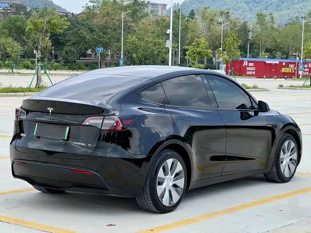 Tesla Model Y — фото 5