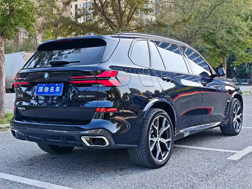 BMW X5 2024 из CN, фото 6