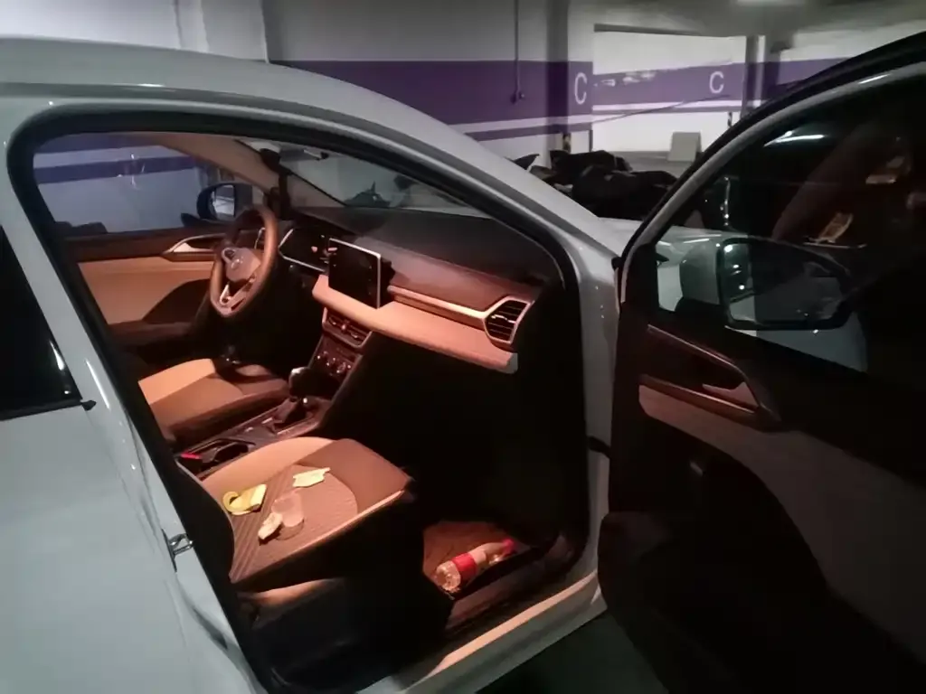 Volkswagen Tharu 2023 из CN, фото 9