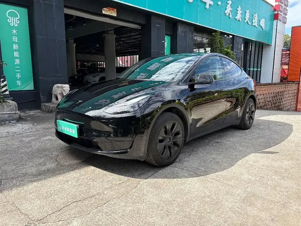Tesla Model Y — фото 1