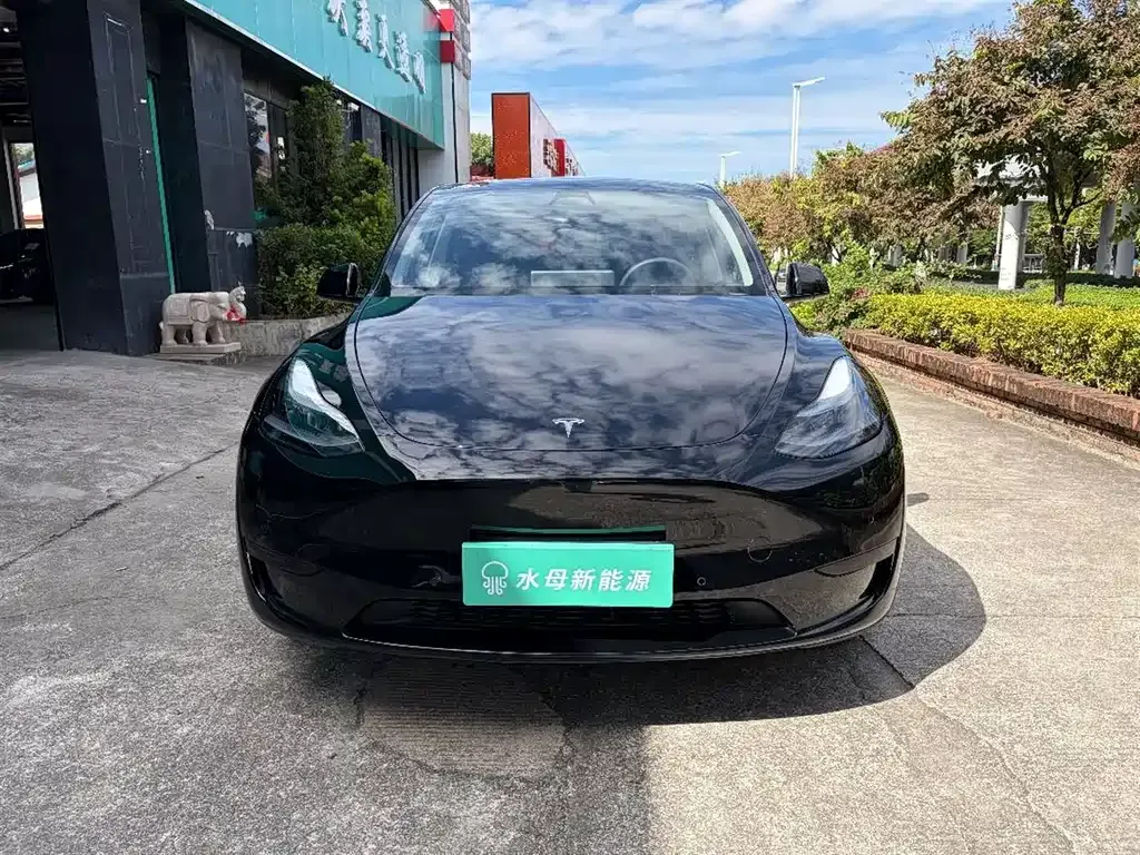 Tesla Model Y — фото 2