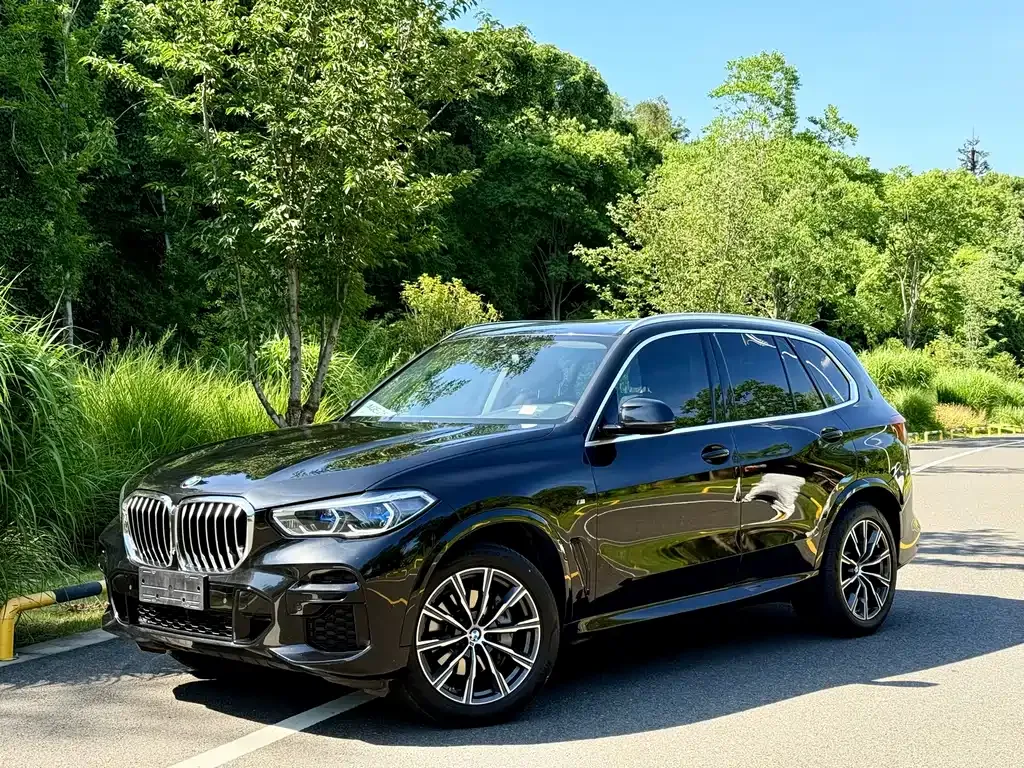 BMW X5 (Import) 2021 из CN, фото 1