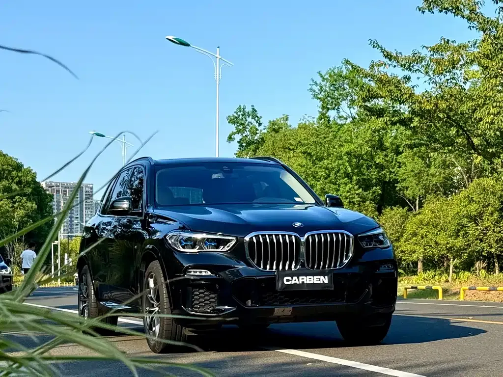 BMW X5 (Import) 2021 из CN, фото 3