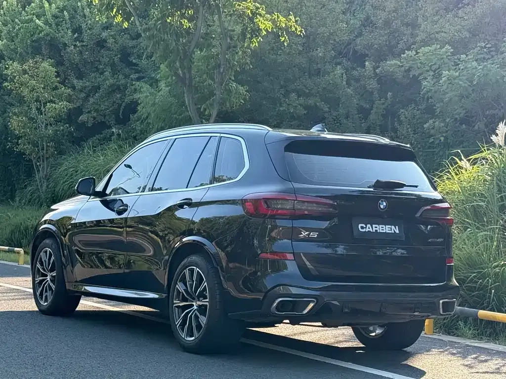 BMW X5 (Import) 2021 из CN, фото 6