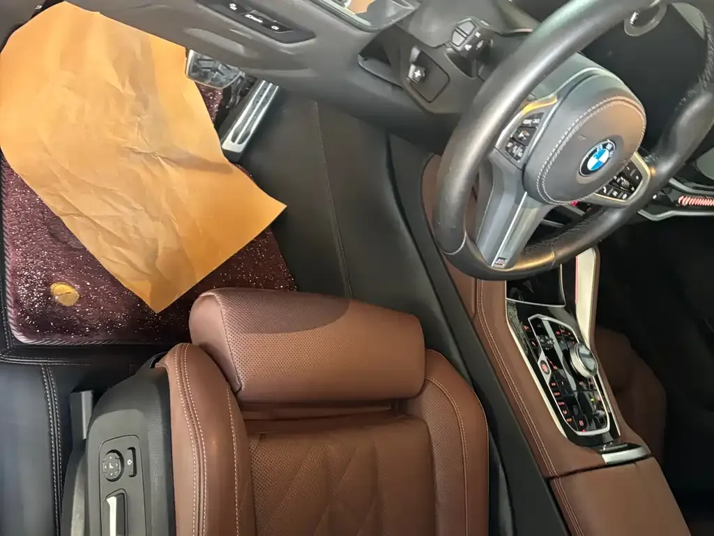 BMW X6 2025 из CN, фото 4