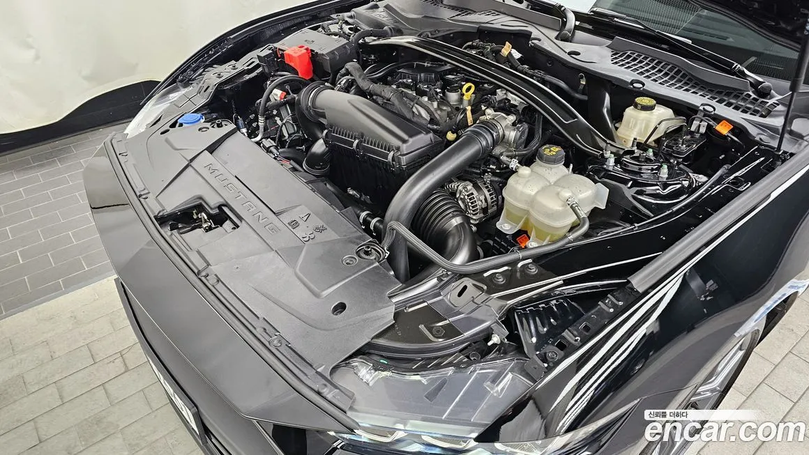 Ford Mustang 2024 из KR, фото 6