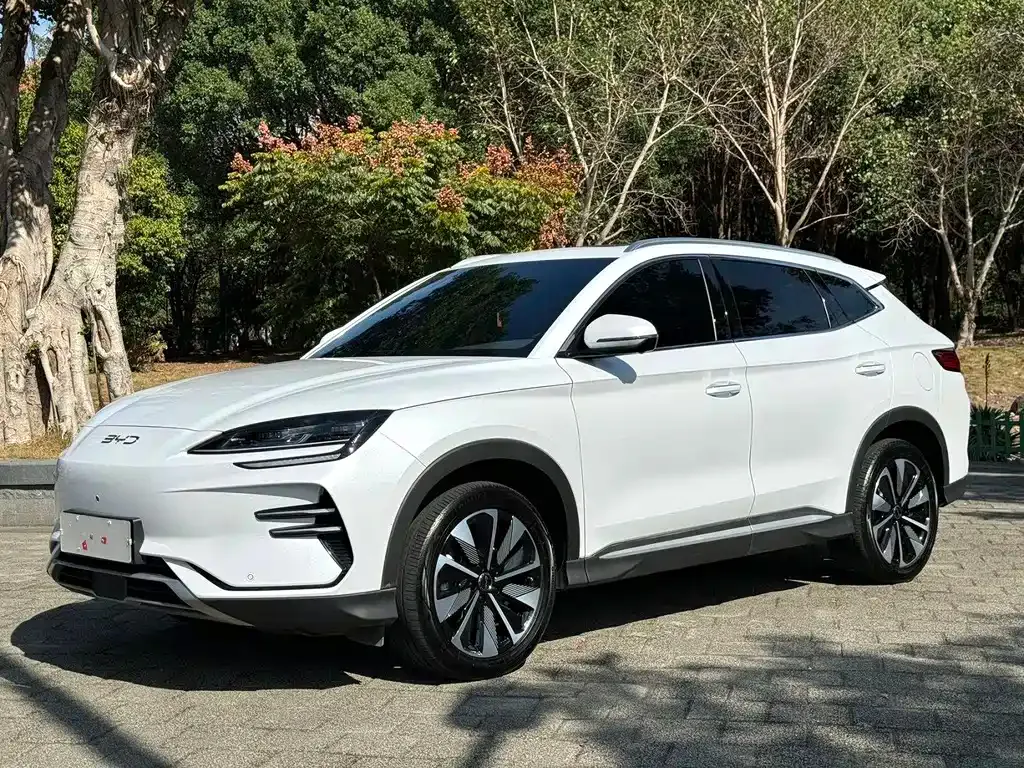 BYD PLUS New Energy — фото 1