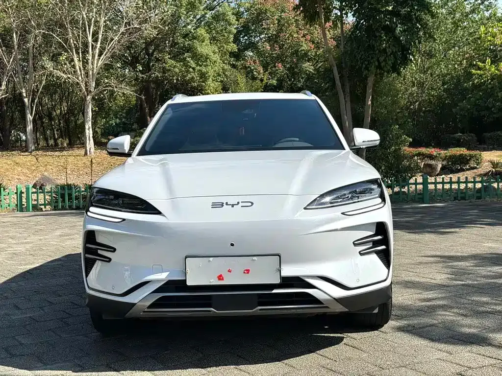 BYD PLUS New Energy — фото 2