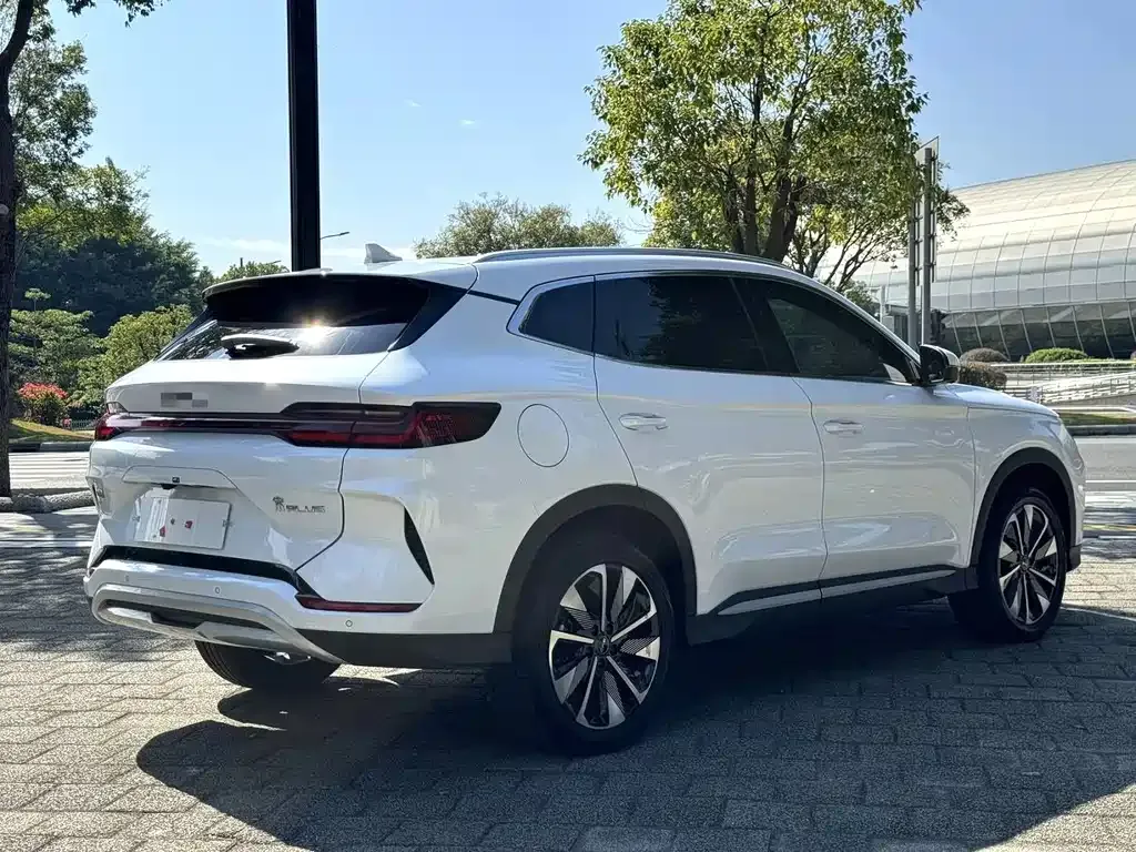 BYD PLUS New Energy — фото 9