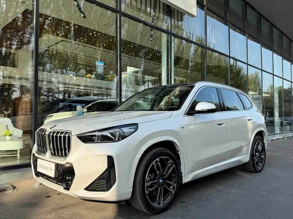 BMW X1 — фото 1