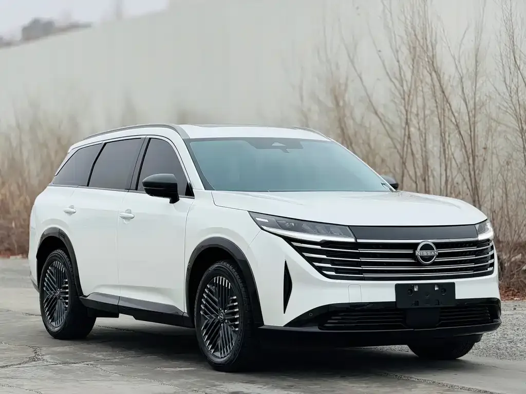 Nissan Teramont 2024 из CN, фото 3