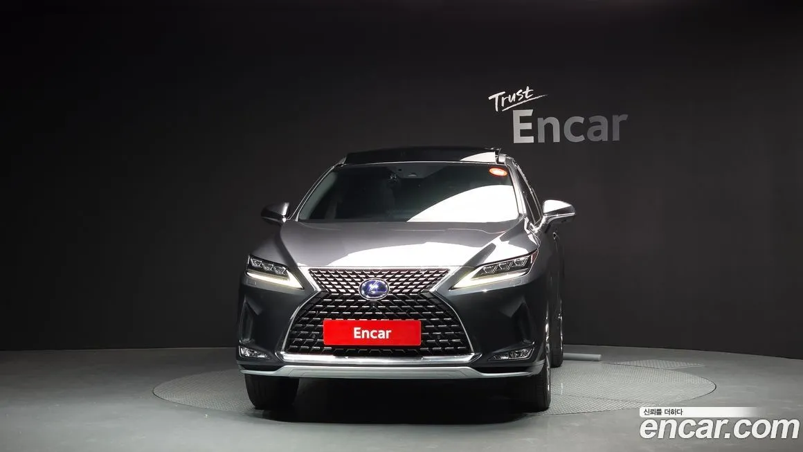Lexus RX 2022 из KR, фото 3