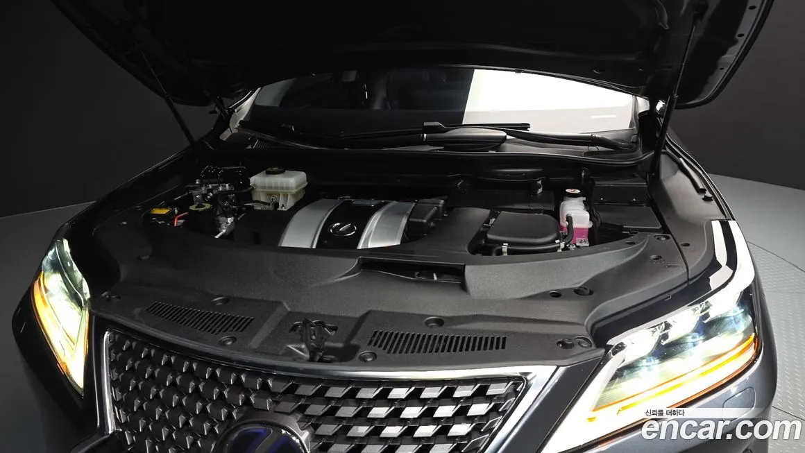 Lexus RX 2022 из KR, фото 6
